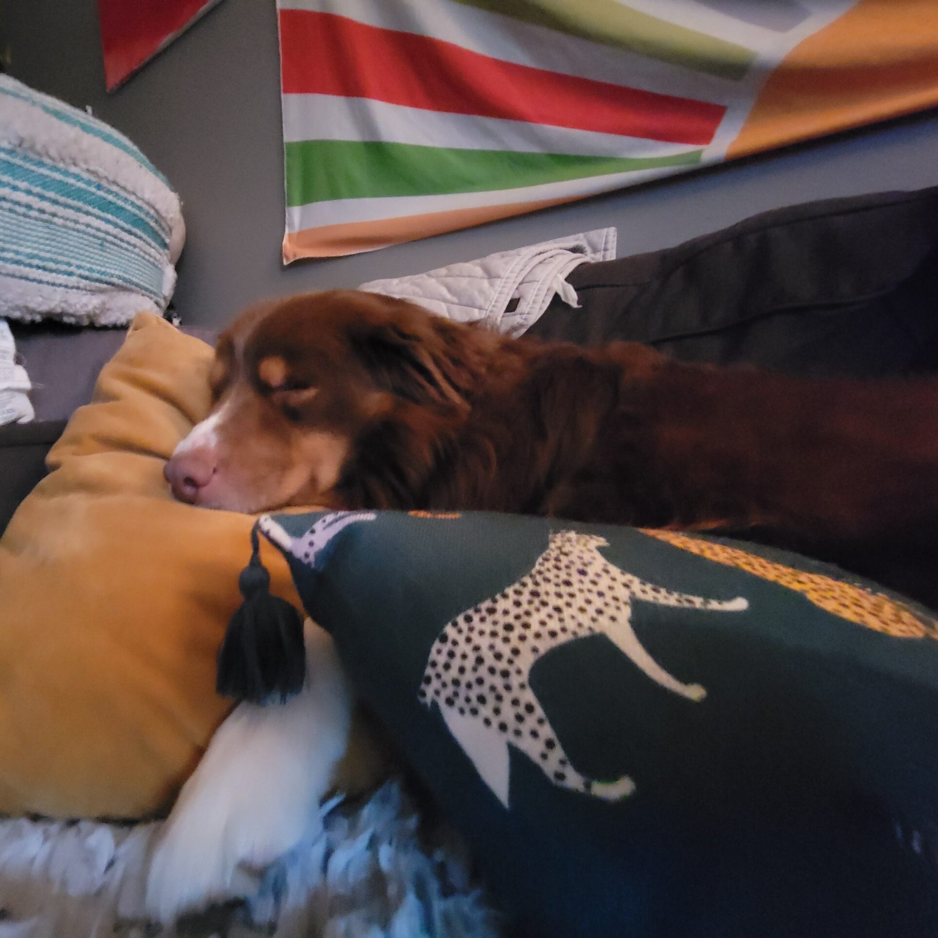 home 20251228 104828