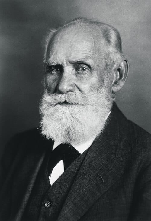 ivan pavlov nlm3