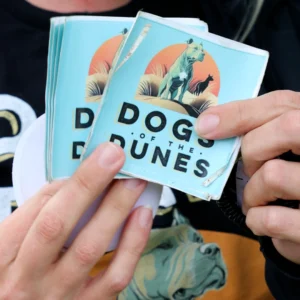 OG Stickers (5-pack)